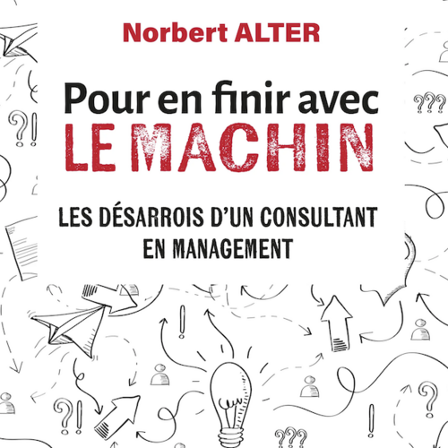 Pour en finir avec le machin : les désarrois d'un consultant en management
