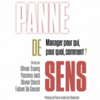 Panne de sens. Manager pour qui, pour quoi, comment ?