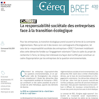 La responsabilité sociétale des entreprises face à la transition écologique