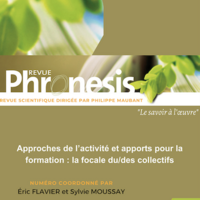 Approches de l’activité et apports pour la formation : la focale du/des collectifs