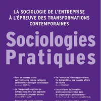 La sociologie de l’entreprise à l’épreuve des transformations contemporaines